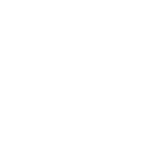 Brainding-Desings-Icon
