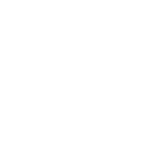 Custom-Software-Icon